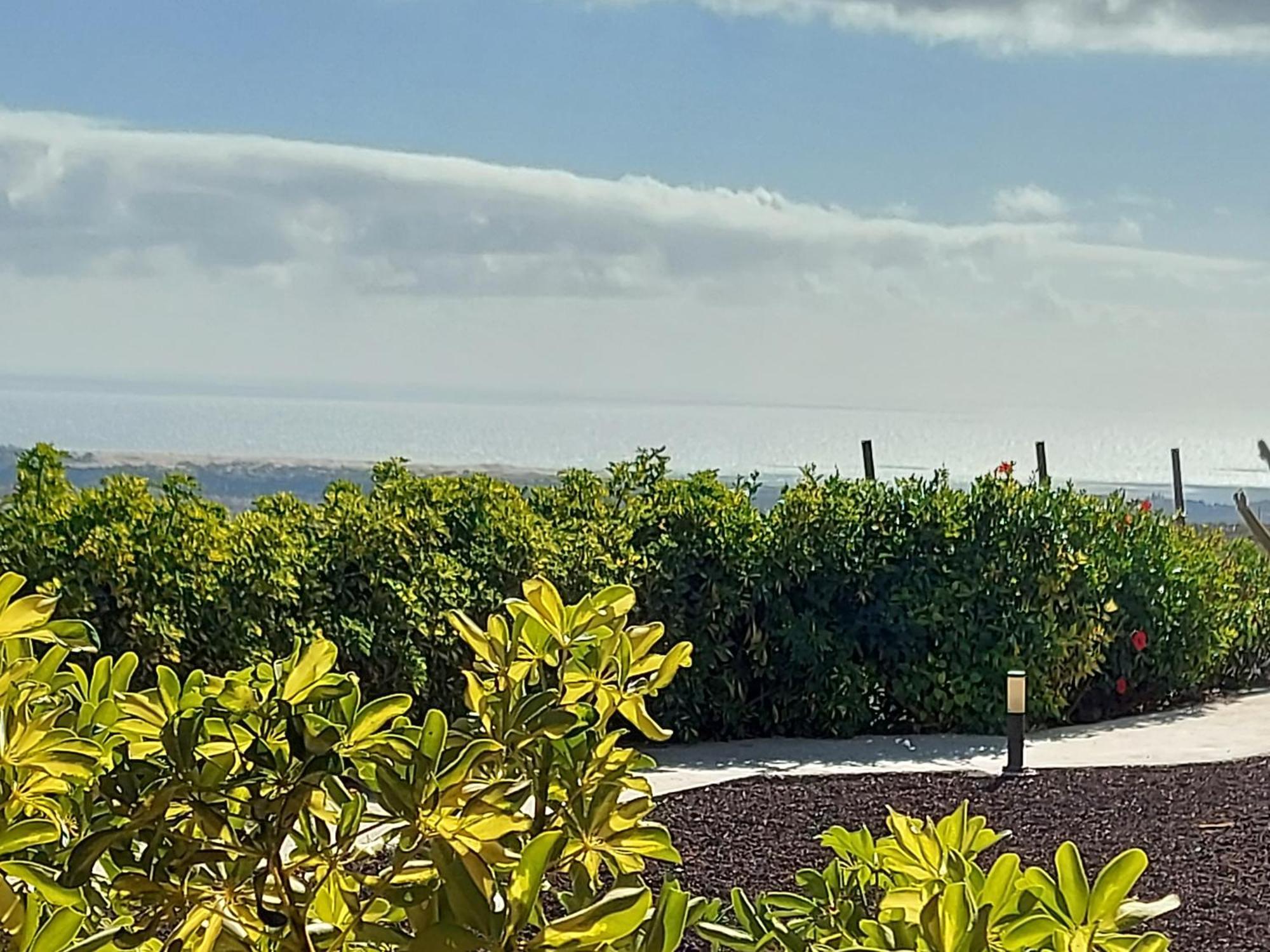 The Black Horse Canarias - Adults Only Maspalomas  Room photo